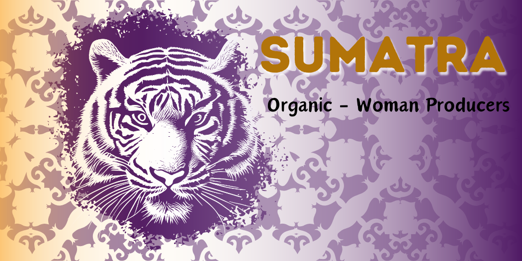 Organic Sumatra