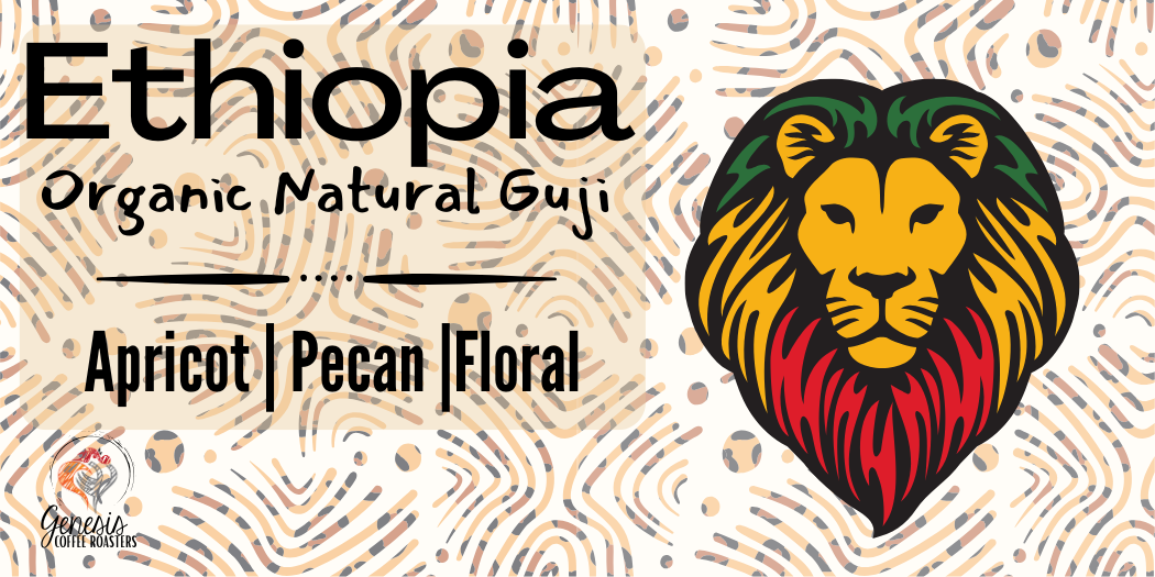 Organic Ethiopian Guji - WS