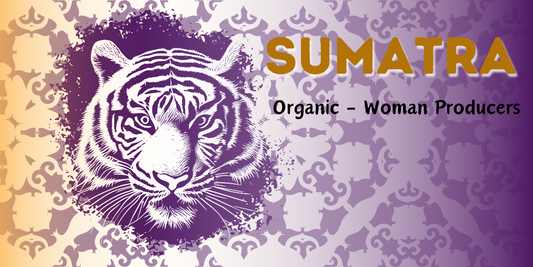 Organic Sumatra