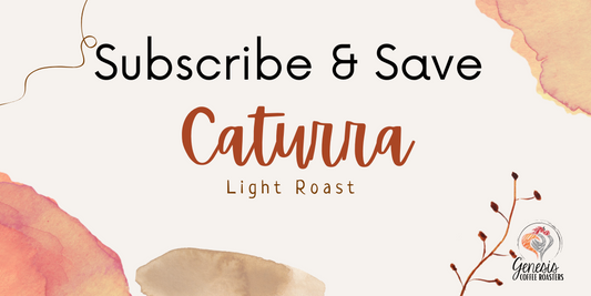 Caturra Light Roast - Subscription